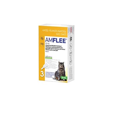 Amflee Spot On für Katzen gegen Flöhe & Zecken, Fipronil, 50 mg Lösung zum Auftropfen, mit 3 Einzeldosis-Pipetten