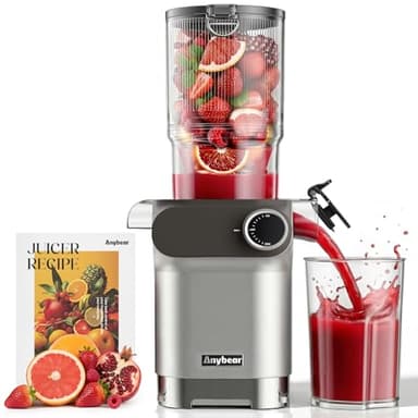 Anybear Entsafter, 200W Slow Juicer Kaltentsafter mit 110 mm großem Einfüllschacht für ganze Früchte/Gemüse | Upgraded Schnecke | Tritan-Material | BPA-frei | Inkl. Saftrezepte (Silbergrau)