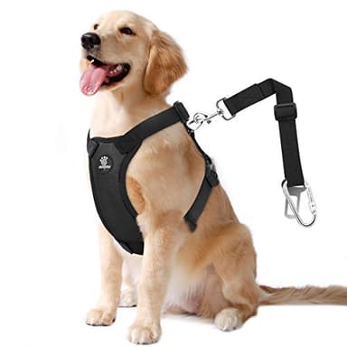 VavoPaw Hunde Autosicherheitsgurt, Hundegeschirr mit Sicherheitsgurt und Schutzgriff, Verstellbar Luftdurchlässig Gittergewebe Material, für Alltäglichen oder Sportlichen Aktivitäten, Groß, Schwarz