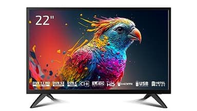 DYON Enter 22 Pro X2 - 55 cm (22 Zoll) Full-HD Fernseher (Triple Tuner (DVB-C/-S2/-T2), Hotelmodus, USB-Media Player)