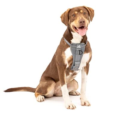 Kurgo TRU-Fit Hundegeschirr, Crash-Test-erprobtes Auto-Sicherheitsgurt, Für Hunde von 2 bis 5 kg, Größe M, Grau