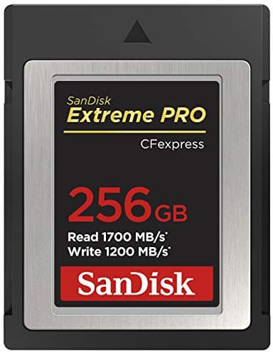 SanDisk Extreme Pro CFexpress-Speicherkarte Typ B 256 GB (1.700 MB/s Lesen, 1.200 MB/s Schreiben, RescuePRO Deluxe, ruckelfreie RAW Videos, 4K, XQD Kompatibilität)